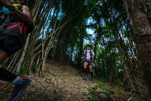 BIB: 
                            <button type="button" onclick="openModal(19395663)" class="btn btn-primary btn-sm float-right btn-popup" data-toggle="modal" data-target=".modal-high-quality">
                        <i class="fas fa-shopping-cart"></i> Add to Cart
                    </button>
                                            <button type="button" onclick="isThisMe(19395663, true)" class="btn btn-success btn-sm float-right btn-popup btn-isme hidden" data-toggle="tooltip" data-placement="bottom" title="นี่คือรูปของคุณใช่ไหม คลิกที่นี่เพื่อเอาเข้าอัลบั้ม">
                        <i class="fas fa-plus"></i> Add to album
                    </button>
                    <button type="button" onclick="isThisMe(19395663, false)" class="btn btn-warning btn-sm float-right btn-popup btn-isnotme hidden">
                        <i class="fas fa-ban"></i> Remove from album
                    </button>